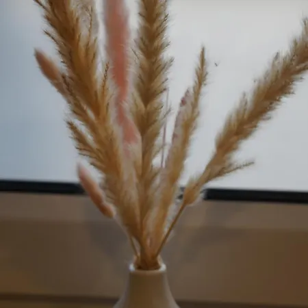 Suite Sinsheim דירה זינסהיים