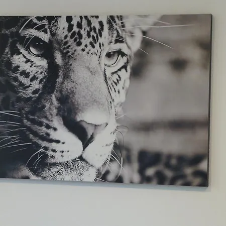 Suite Sinsheim * זינסהיים