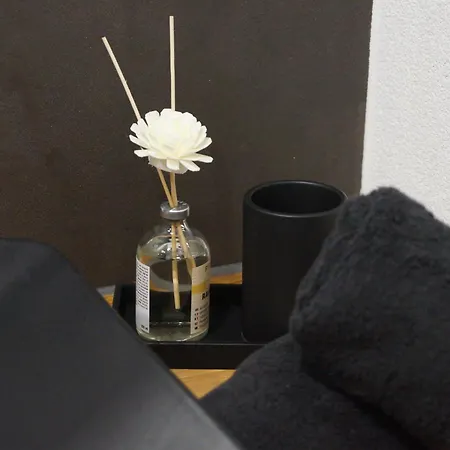 Suite Sinsheim Apartment *