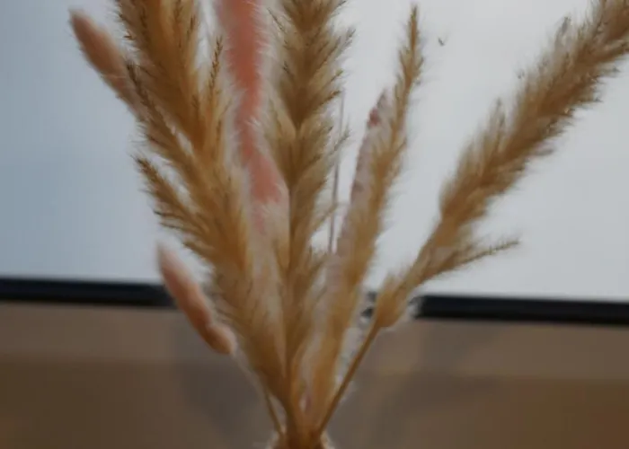 Suite Sinsheim Apartamento Sinsheim