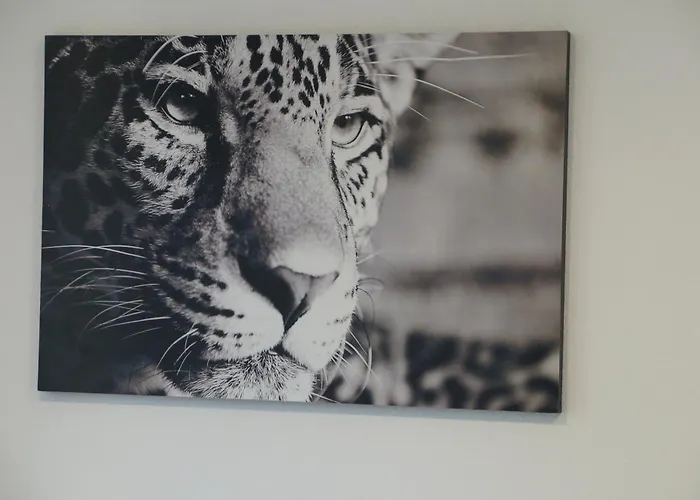 Suite Sinsheim * Sinsheim