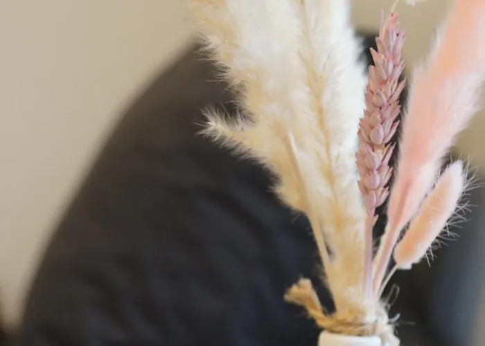 Apartamento Suite Sinsheim